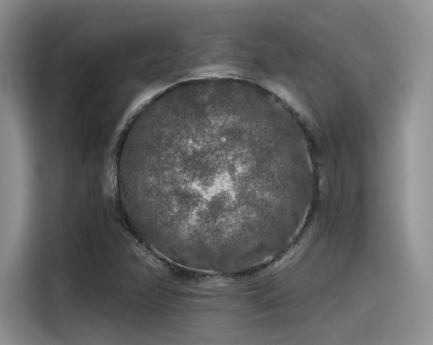 X0000115491358200911131227