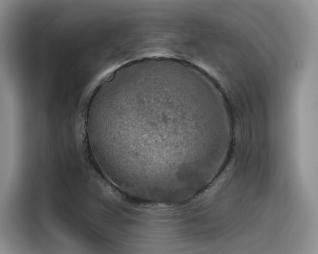 X0000115491359200911131227