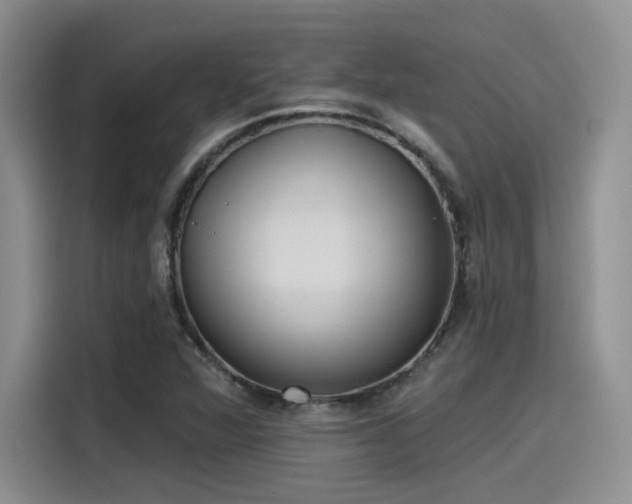 X0000115491360200911131227