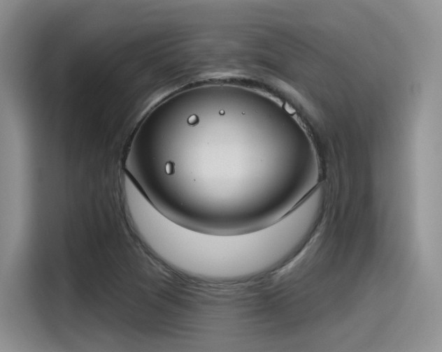 X0000115491361200911131227
