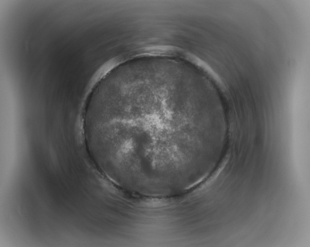 X0000115491362200911131227