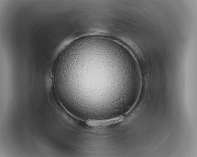 X0000115491363200911131227
