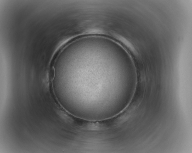 X0000115491364200911131227