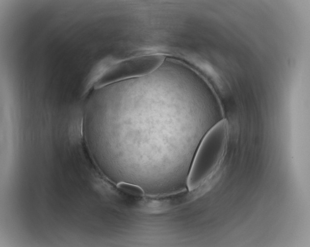 X0000115491365200911131227