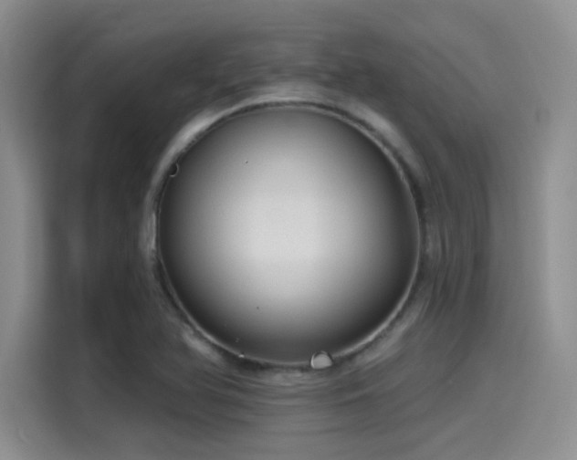 X0000115491366200911131227
