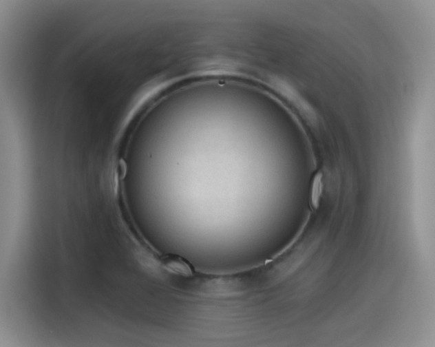 X0000115491368200911131227