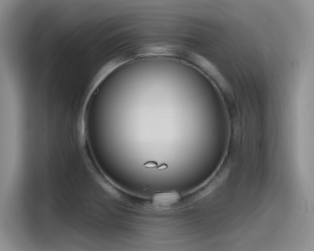 X0000115491370200911131227