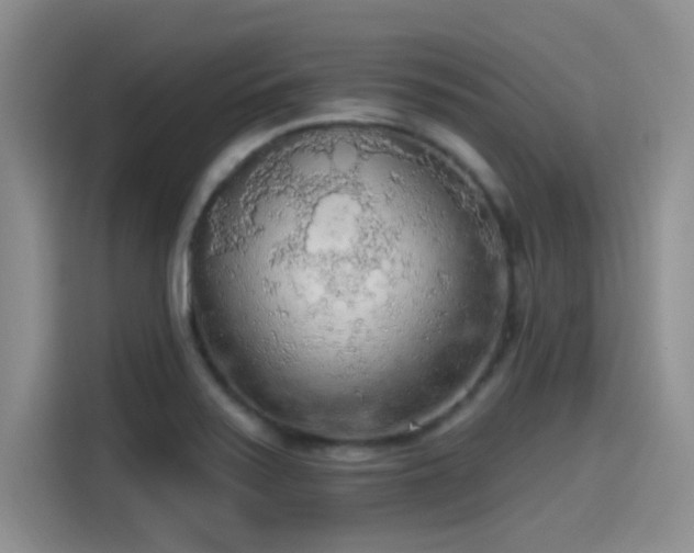 X0000115491371200911131227
