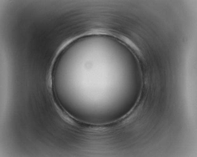 X0000115491372200911131227