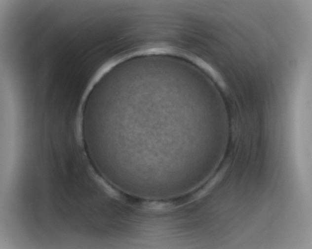 X0000115491374200911131227