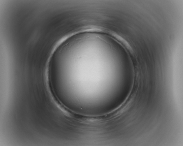 X0000115491375200911131227