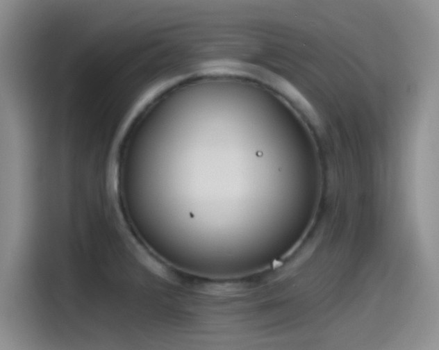 X0000115491376200911131227