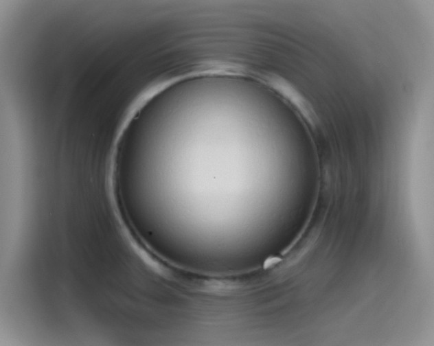 X0000115491379200911131227