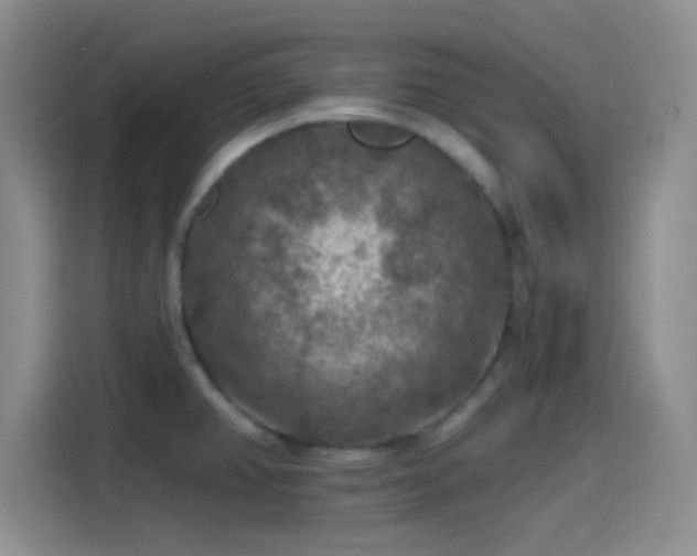 X0000115491382200911131227