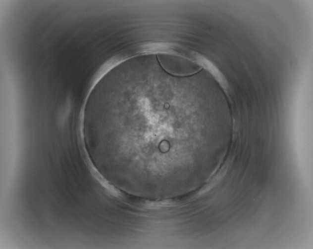 X0000115491386200911131227