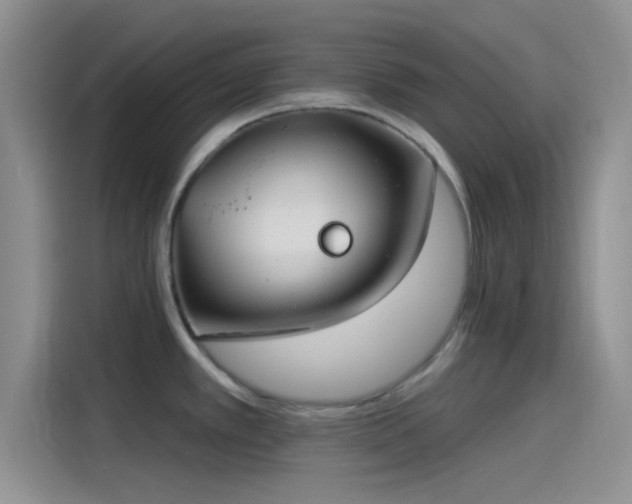 X0000115491389200911131227