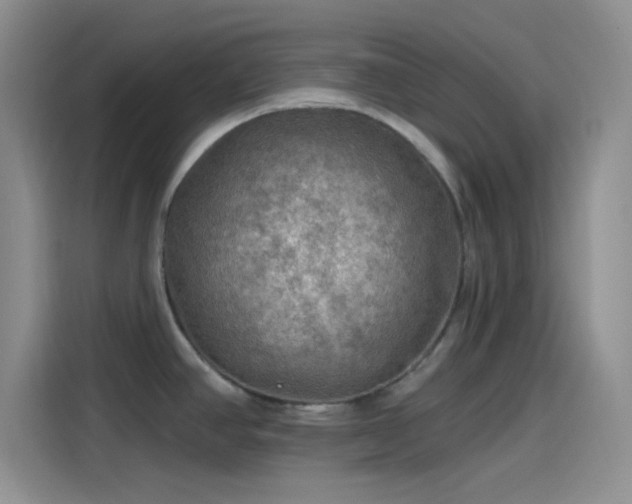 X0000115491390200911131227