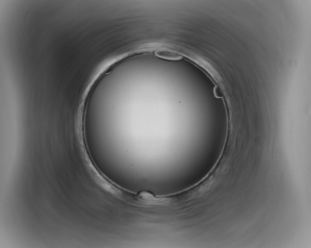 X0000115491392200911131227
