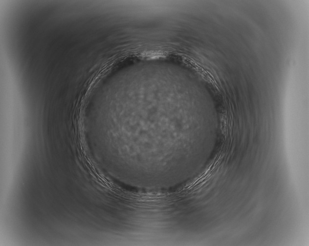 X0000115491393200911131226