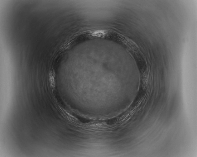 X0000115491394200911131226