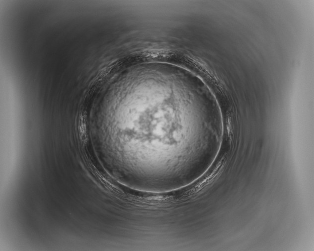 X0000115491396200911131226
