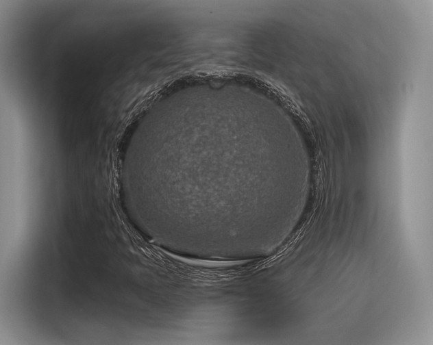 X0000115491397200911131226