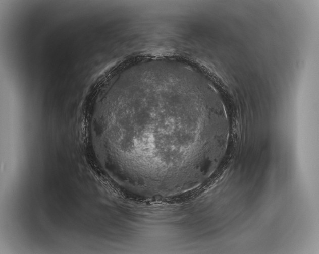 X0000115491398200911131226