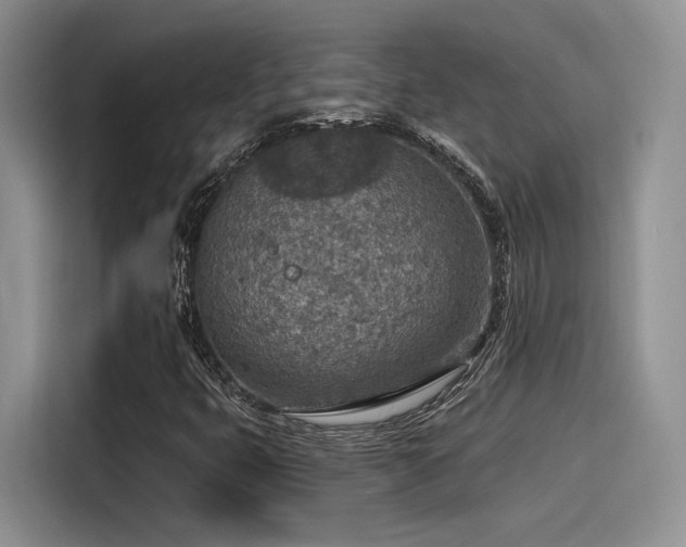 X0000115491399200911131226
