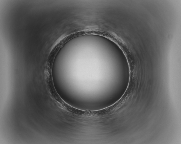 X0000115491400200911131226