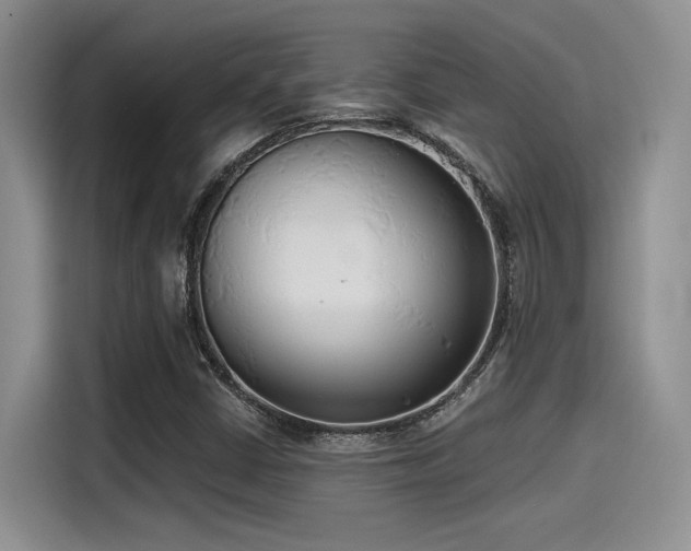 X0000115491402200911131226
