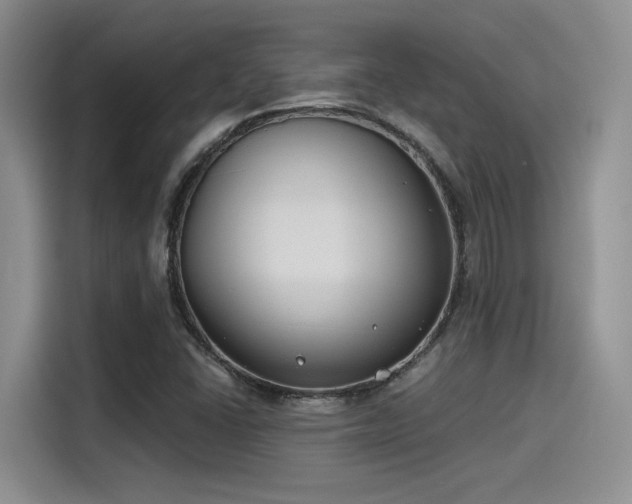 X0000115491406200911131226