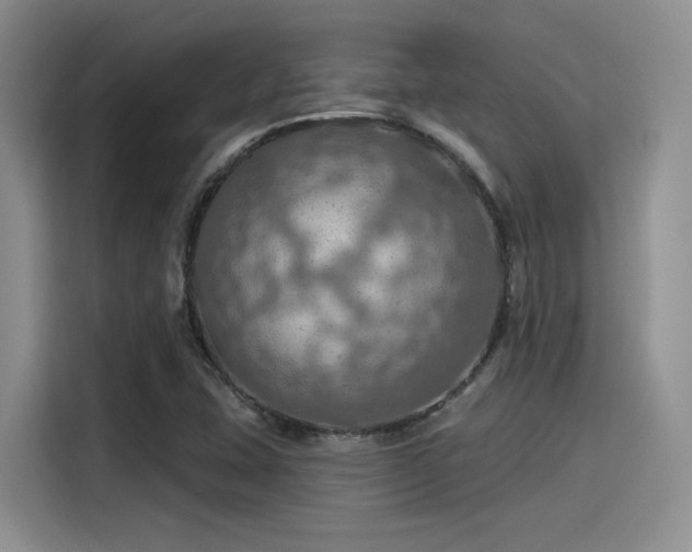 X0000115491407200911131226