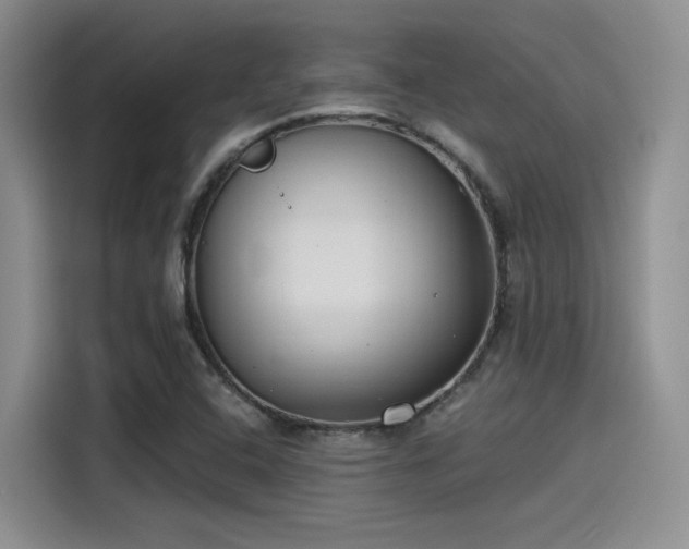 X0000115491408200911131226
