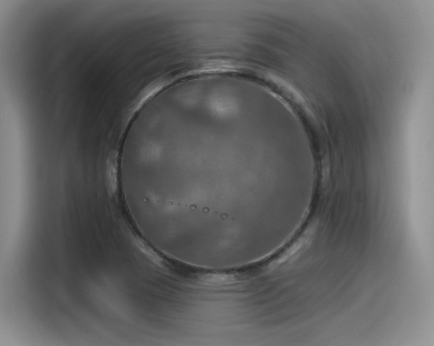 X0000115491409200911131226