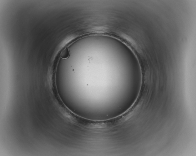 X0000115491410200911131226