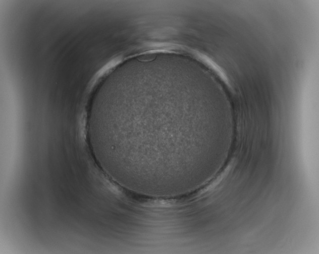 X0000115491411200911131226