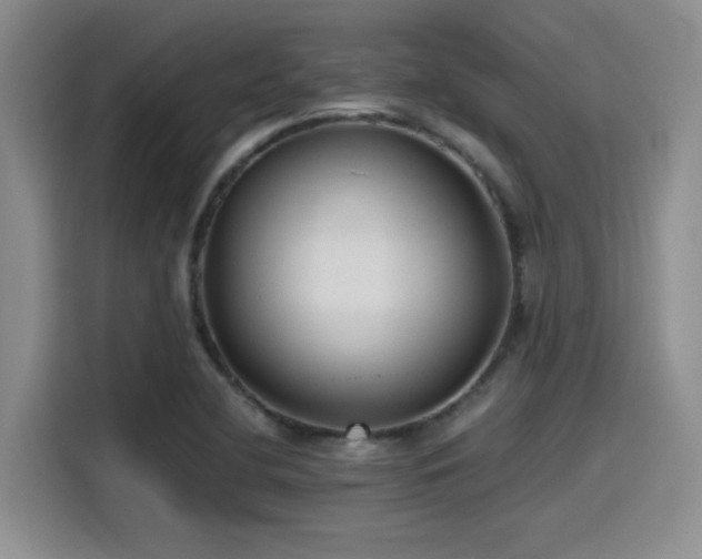 X0000115491412200911131226