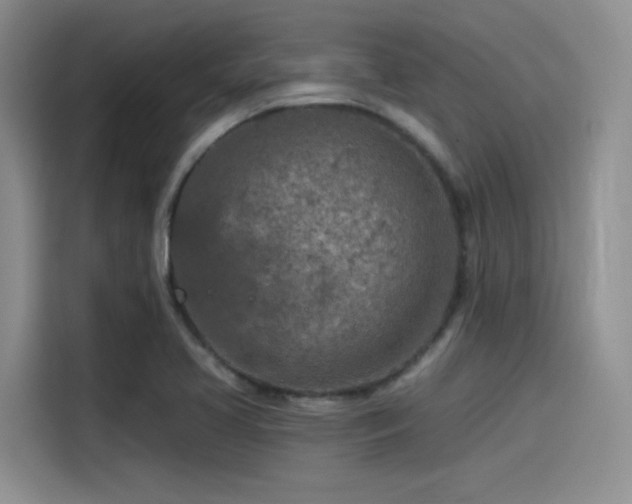 X0000115491413200911131226