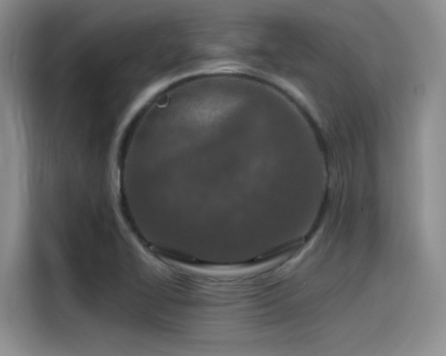 X0000115491414200911131226