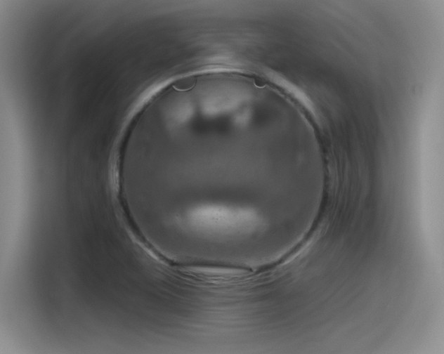 X0000115491415200911131226