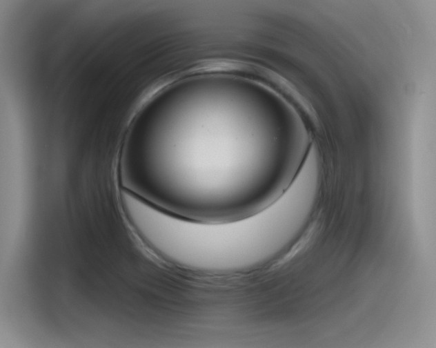 X0000115491417200911131226