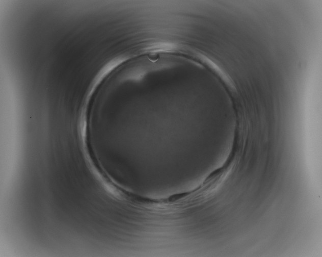 X0000115491418200911131226