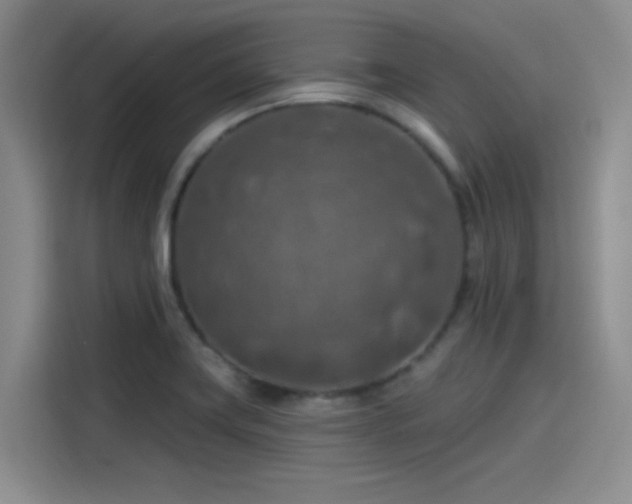 X0000115491419200911131226