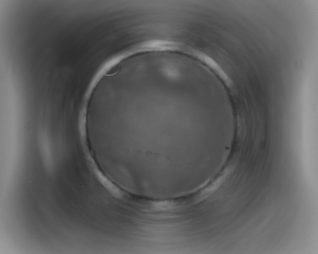 X0000115491421200911131226