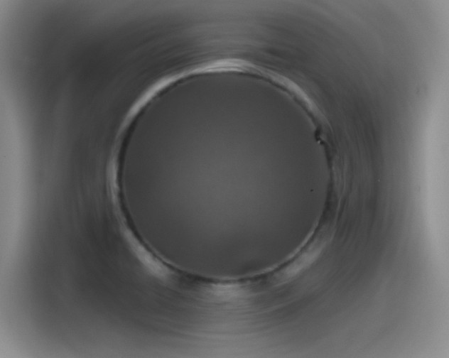 X0000115491422200911131226
