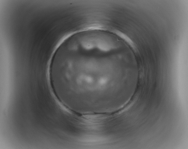 X0000115491423200911131226