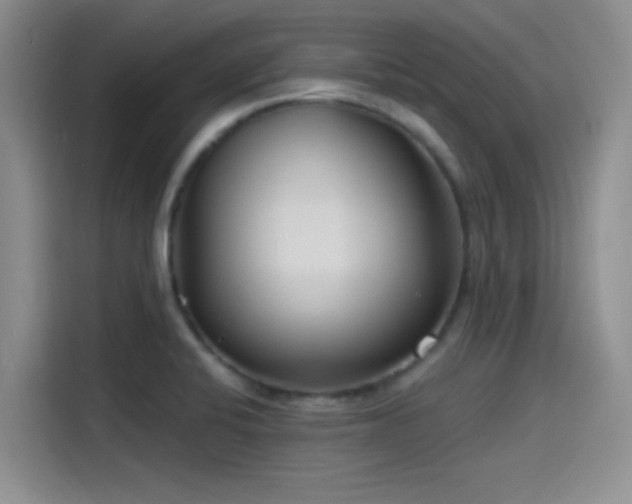 X0000115491424200911131226