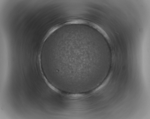 X0000115491425200911131226