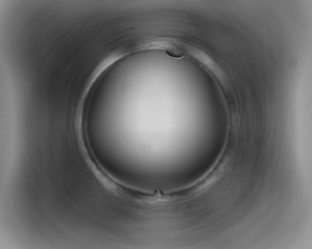 X0000115491426200911131226