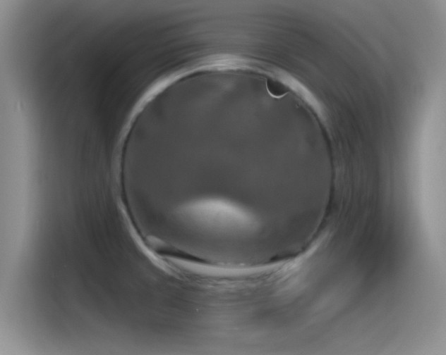 X0000115491429200911131226